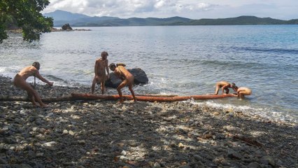 Retour à l'instinct primaire : Restons groupés