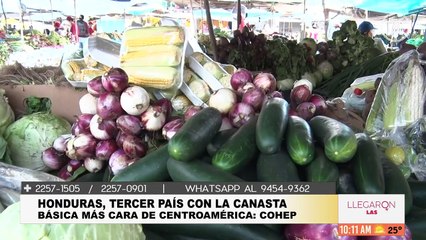 Llegaron las Mujeres - 26 de febrero 2025