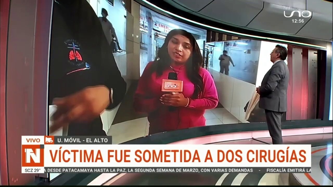 UM PERROS