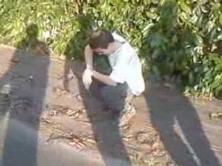 Cascade au skate parc