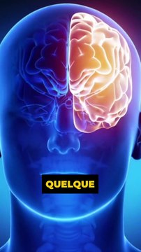 🤯💔 Pourquoi tant de couples restent ensemble alors que la relation ne fonctionne plus (neurosciences et biais cognitifs) 🧠💥 #couple
