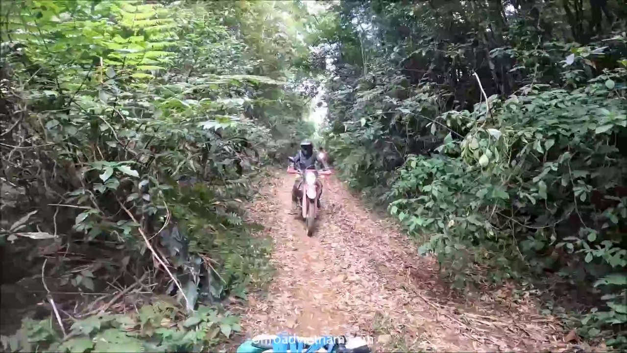 Vietnam Motorbike Tours Through Rough Forest Trails | VietnamMotorbikeRental.Com