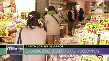 República Democrática del Congo: Saqueo de recursos