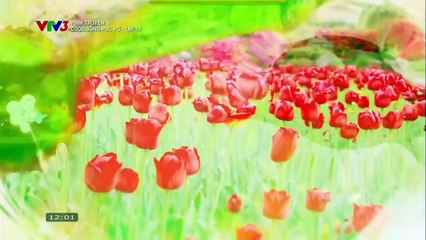 CUỘC SỐNG RỰC RỠ - TẬP 13 - VTV3 THUYẾT MINH - PHIM HÀN QUỐC - CUOC SONG RUC RO