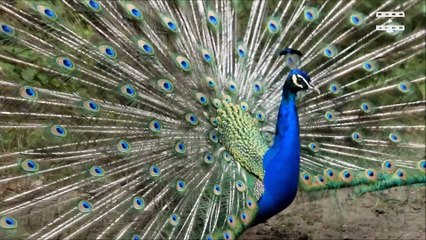 Przesądy na planie filmowym