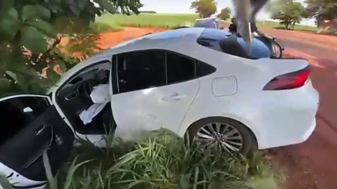 Transportando cigarros eletrônicos, motorista tenta fugir, mas colide contra árvore na BR-369, em Cascavel