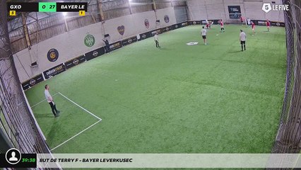 But de Terry F - Bayer Leverkusec