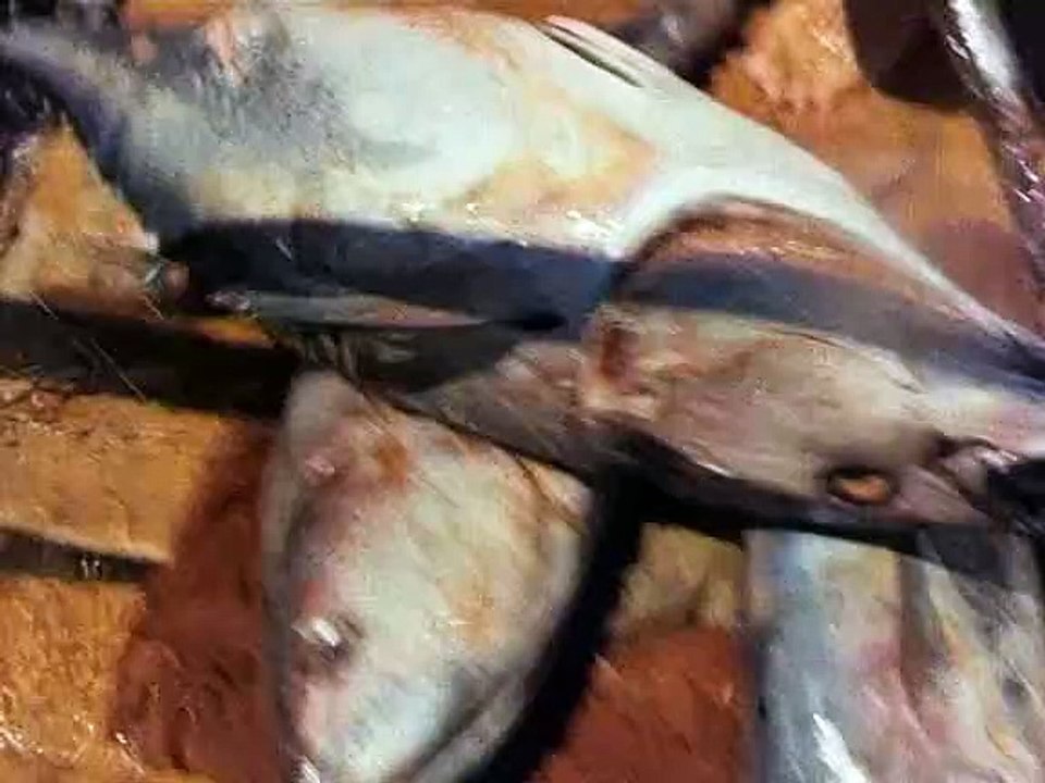 Die rote Zora und ihre Bande E09 - Brankos erste Liebe