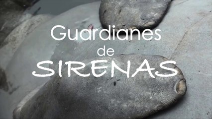 Documental "Guardianes de Sirenas"
