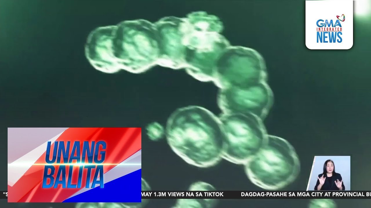 DOH, pinag-iingat pa rin ang publiko laban sa mga sakit na maaaring mauwi sa pneumonia | Unang Balita