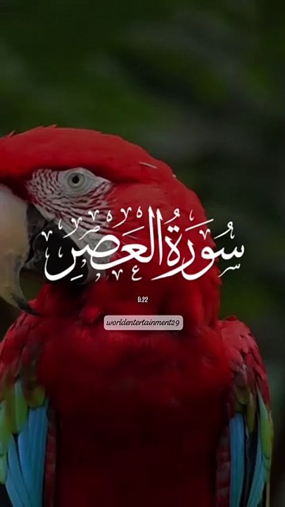 Islamic video