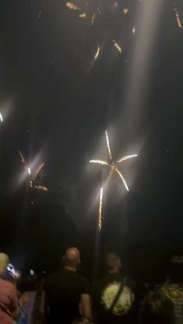 Le Feu d’artifice du 14 juillet Grenoble Parc Jean-Verlhac Villeneuve #france #grenoble #show (38)