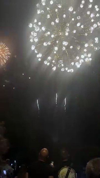 Le Feu d’artifice du 14 juillet Grenoble  Parc Jean-Verlhac Villeneuve #france #grenoble #show (45)