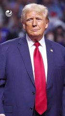 Peso recupera terreno contra el dólar tras los nuevos comentarios de Trump