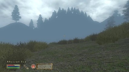 The Elder Scrolls IV: Oblivion - Part 21