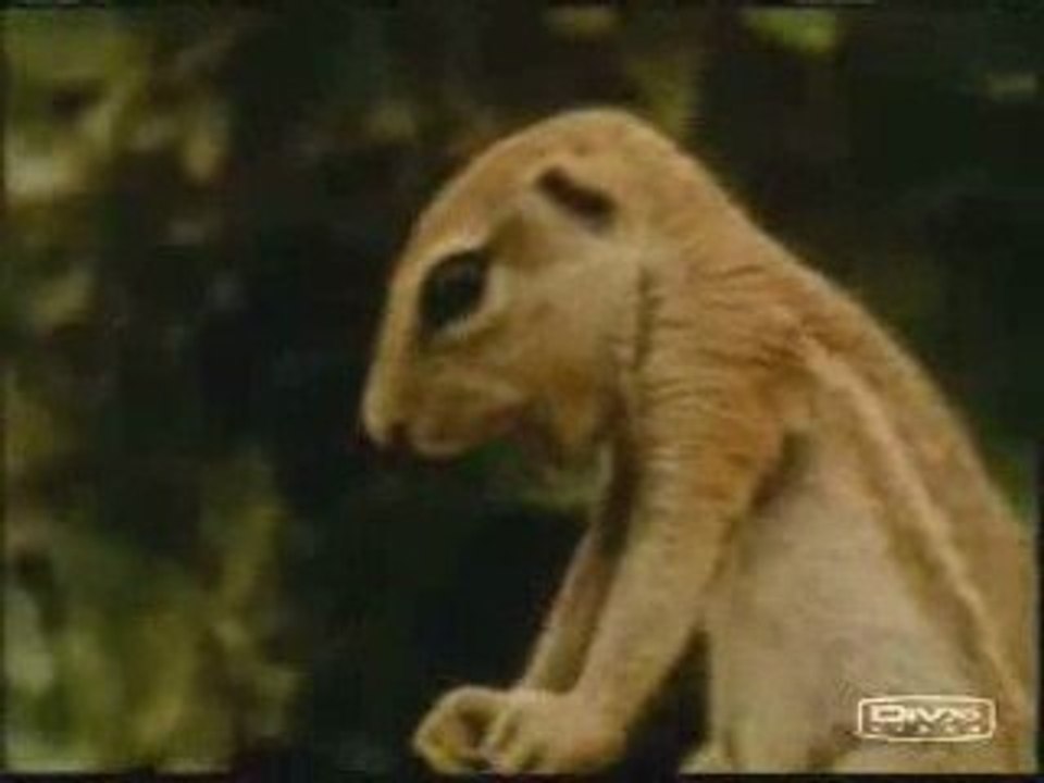 Les miracles scientifiques du coran - Documentaire 1/6
