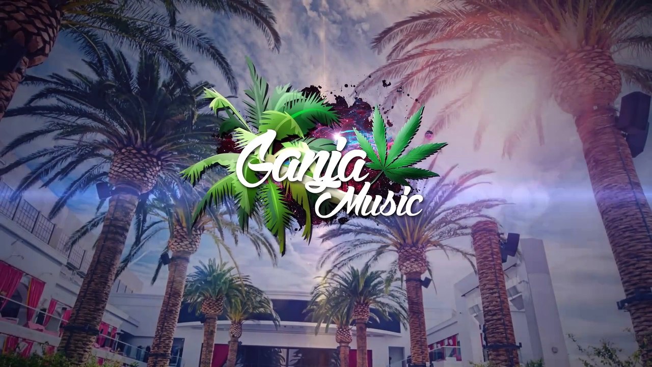 Ziggy Marley - Beach In Hawaii (Viga Remix)