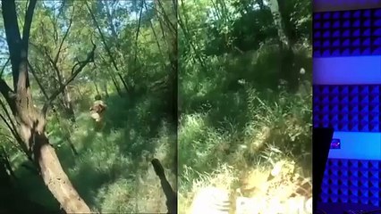 ПОСМОТРЕВ РОЛИК ХОЧЕТСЯ БЛЕВАНУТЬ. Солдаты и z-ники в ярости из-за нового ролика