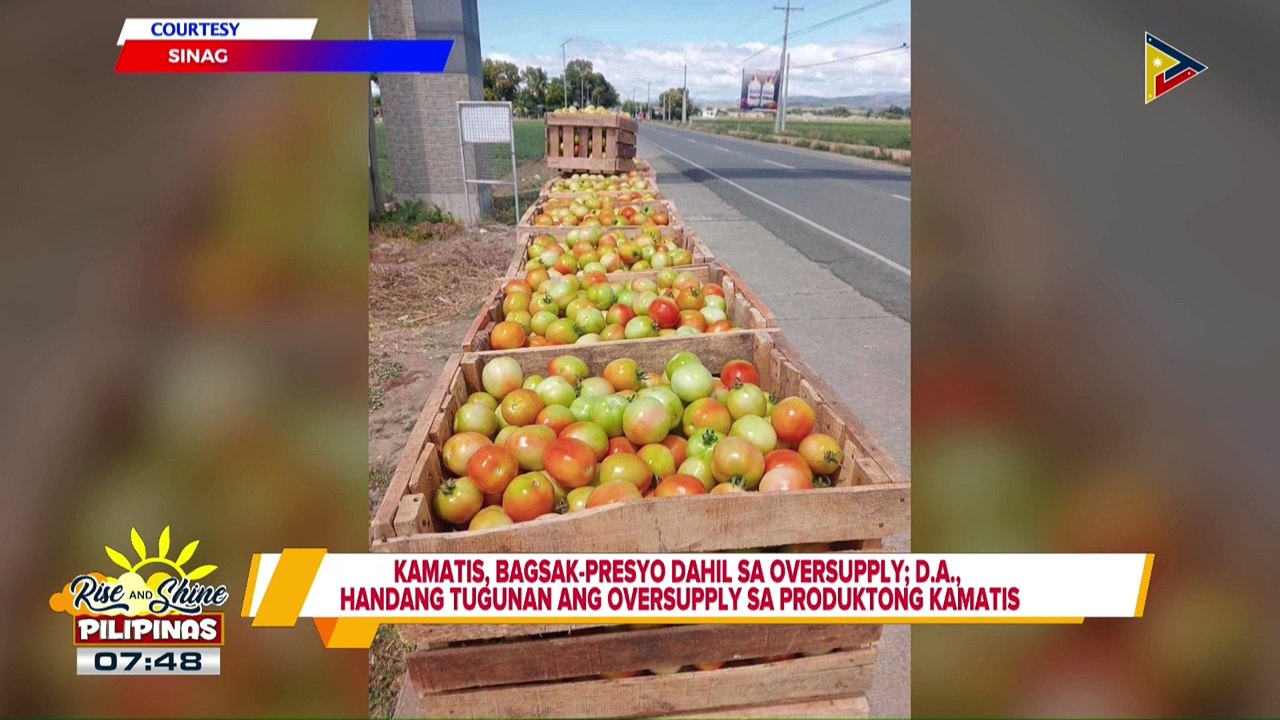 Kamatis, bagsak-presyo dahil sa oversupply; D.A., handang tugunan ang oversupply sa produktong kamatis