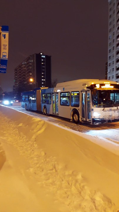 Biggest Snowstorm ❄️ Downtown Toronto Canada 🇨🇦