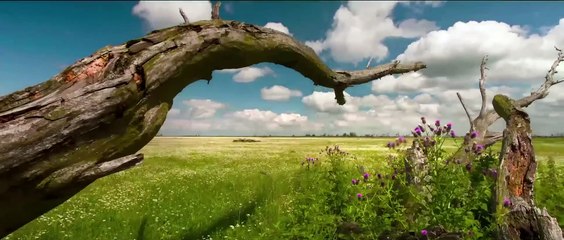 Die neue Wildnis | movie | 2013 | Official Trailer