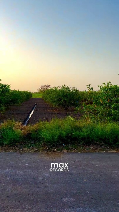 Village Life & Village Nature | Beautiful Rural Scenes of My Village | max RECORDS