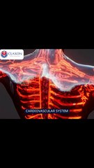 💓 Cardiovascular System Explained in Seconds! | Heart & Blood Flow Basics 🚀