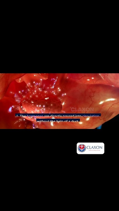 🧪 The Endocrine System Explained | Hormones & Glands in 60 Seconds! 🔬