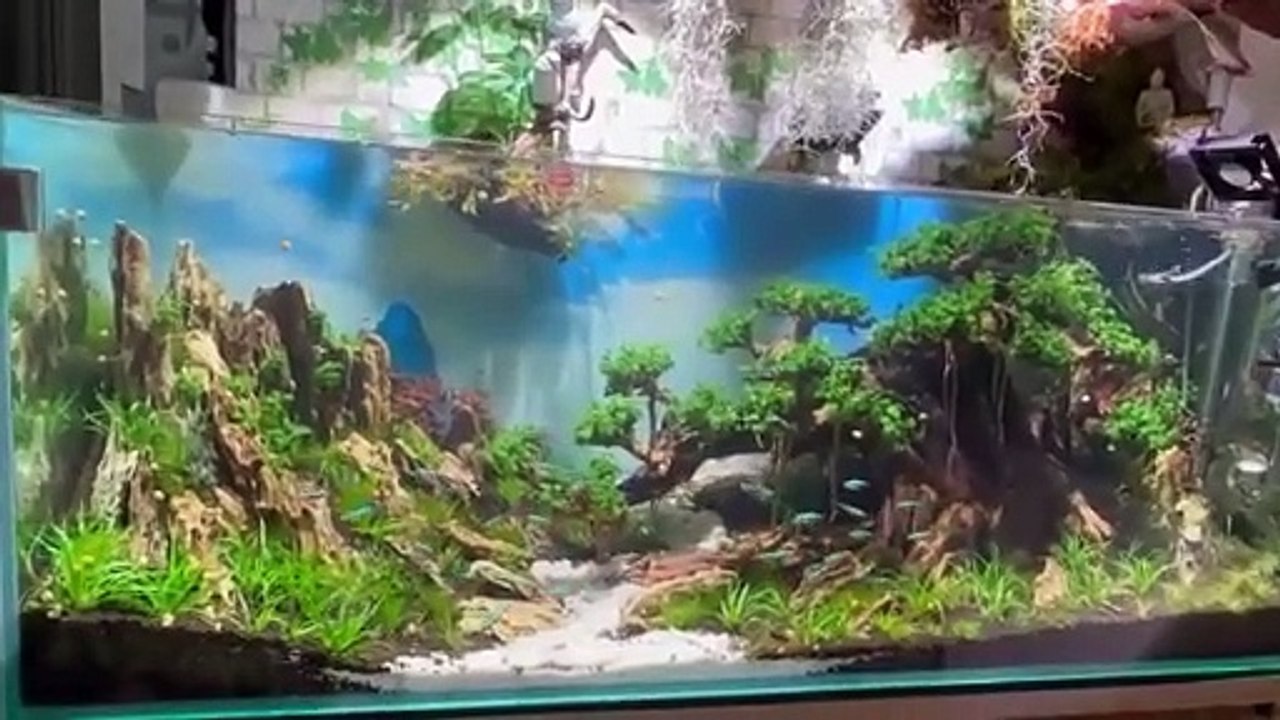 Aquarium