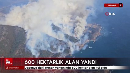 Japonya'daki orman yangınında 600 hektar alan kül oldu