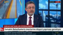 İbrahim Yumaklı: Sokak hayvanları düzenlemesine uymayan belediyelere denetim başlatacağız