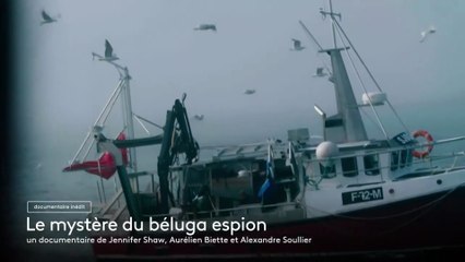 Le mystère du béluga espion - 2 mars