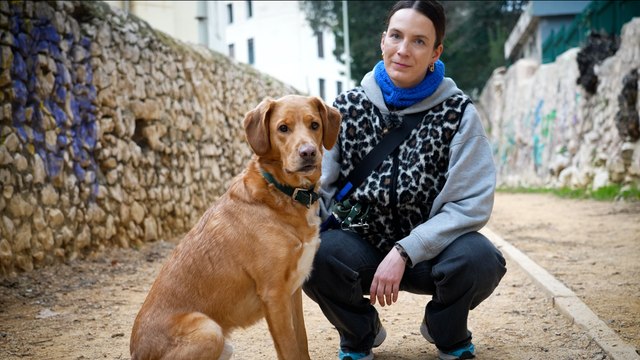 « Il n'était plus net » : à Marseille, des chiens empoisonnés par des excréments de drogués