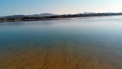 Seals make their way towards the Lackagh River from the mouth of Sheephaven betweem Ards and Tramór at Downings