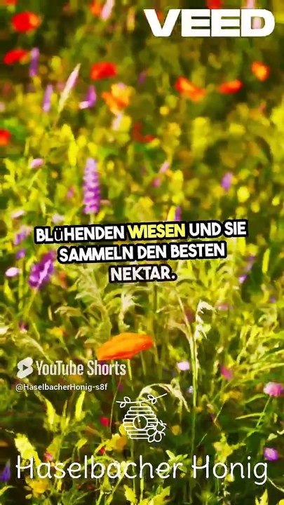 Die Geheimnisse der Wienerwald Imkerei von Olivia A. Strele_ by HASELBACHER Honig