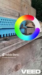 Haselbacher Honig's Video Die Bienen am Flugloch im Oktober. Höchste Honigqualität_ Dein Genuss