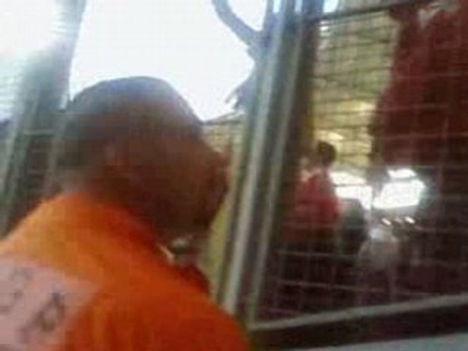 Tfc psg 2008 horto magiko 1