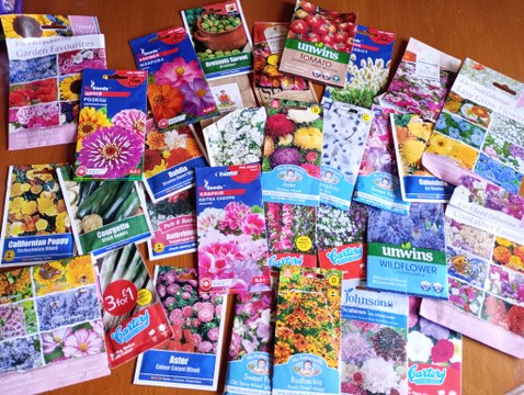 Cool flowers and others I'm growing from seed in 2025 - Gardening with Brendan