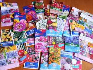 Cool flowers and others I'm growing from seed in 2025 - Gardening with Brendan