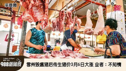 《988新闻线》： 2025年02月27日  雪州毁瘟猪后传生猪价3月6日大涨，业者：不知情！