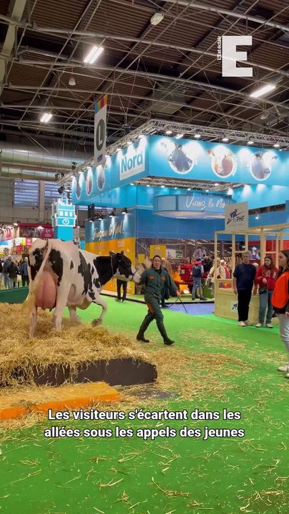 Comment se passe la traite des vaches au Salon de l'agriculture ?