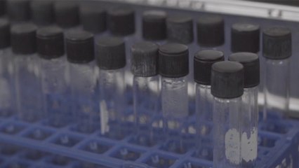 tn7-reforma-a-reglamento-de-calidad-de-agua-quebranta-derecho-a-la-salud-270225