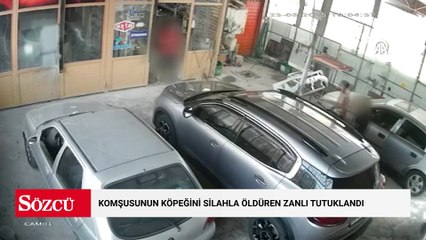 Başkentte komşusunun köpeğini silahla öldüren zanlı tutuklandı