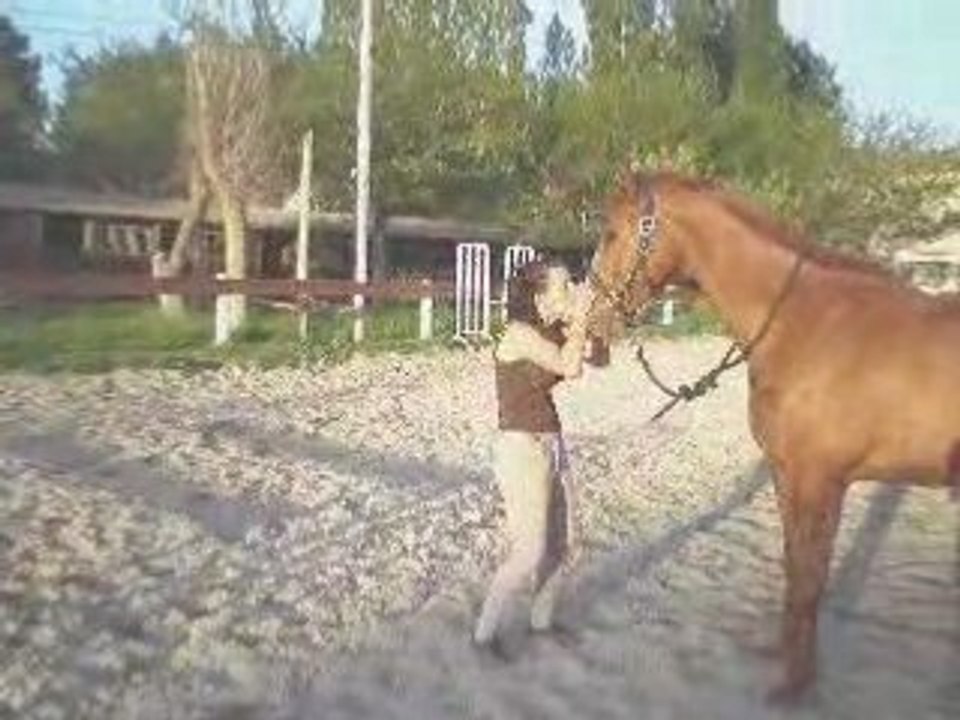 Quirinal et Laurie