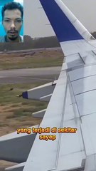 Passenger Shocked Seeing Bird Flying Beside Airplane Wing