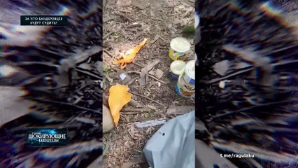 За что бандеровцев будут судить? — Самые шокирующие гипотезы