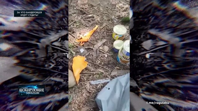 За что бандеровцев будут судить? — Самые шокирующие гипотезы