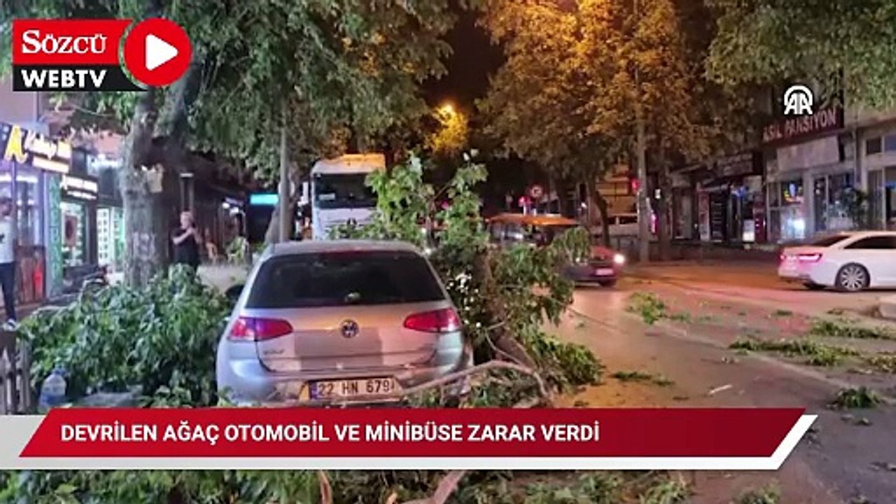 Edirne'de ağaç otomobil ve minibüsün üzerine devrildi