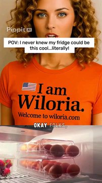 Automatic Rolling Egg Holder – Space-Saving Fridge Organizer | Wiloria$17.99Space-saving automatic rolling egg holder with stackable design, removable tray & clear plastic lid. Holds 12–14 eggs neatly & safely in your fridge.Visit Now Wiloria.com