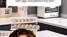 Wiloria | Automatic Rolling Egg Holder – Space-Saving Fridge Organizer (12–14 Eggs).Visit Wiloria.com
